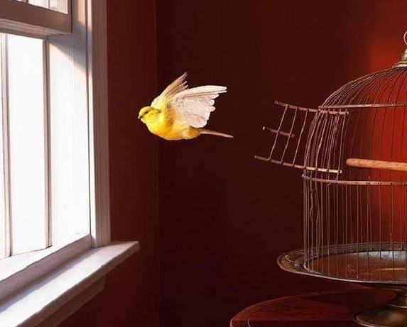 post title ورودی پرونده ویژه با موضوع ازدواج