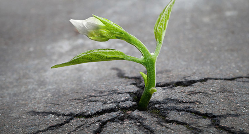 articles[i].Article_Title